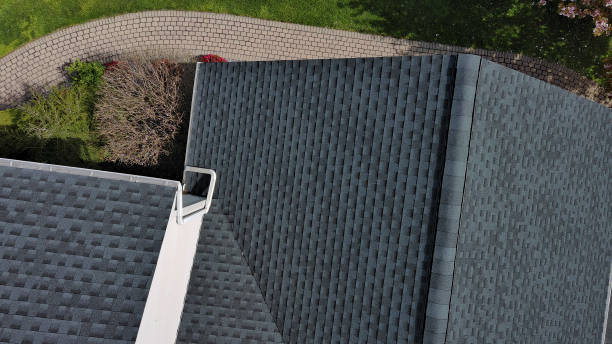 Best Roof Moss and Algae Removal  in Bellbrook, OH